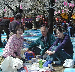 Hanami party